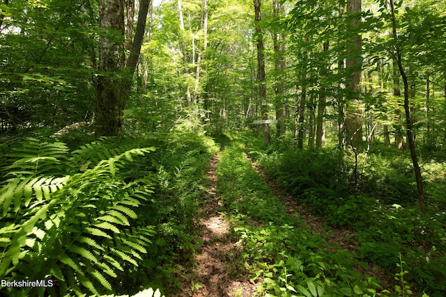 617 Main Rd, Monterey, MA 01245 - photo 42