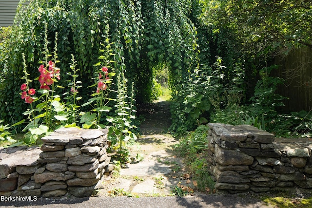 617 Main Rd, Monterey, MA 01245 - photo 4