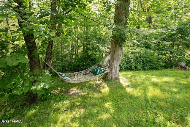 617 Main Rd, Monterey, MA 01245 - photo 41