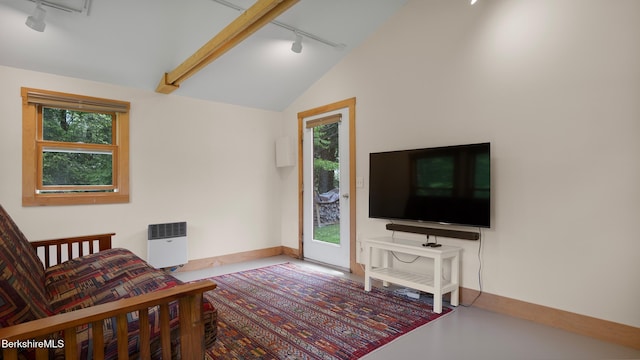 11 Jamie Ln, Sandisfield, MA 01255 - living area featuring rail lighting, lofted ceiling, healthy amount of natural light, and baseboards