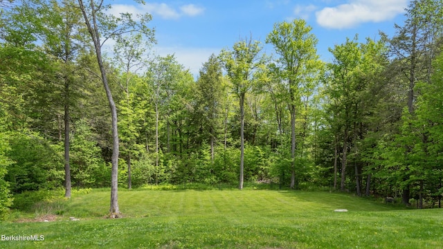 11 Jamie Ln, Sandisfield, MA 01255 - view of grassy yard with a view of trees