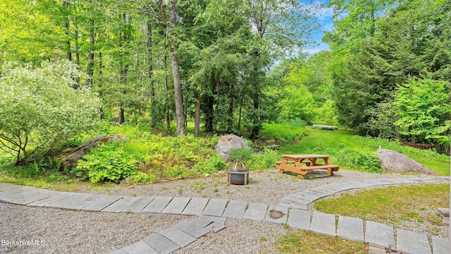 11 Jamie Ln, Sandisfield, MA 01255 - view of yard with an outdoor fire pit and a view of trees
