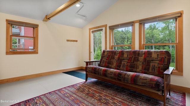 11 Jamie Ln, Sandisfield, MA 01255 - sitting room with lofted ceiling, rail lighting, and baseboards