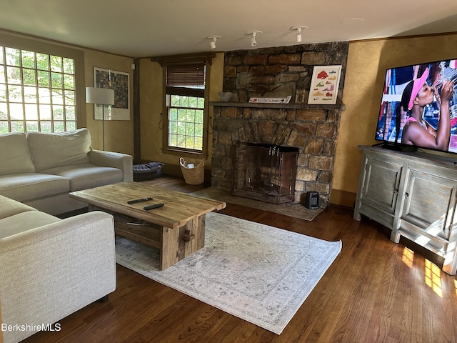 living room featuring a fireplace and dark hardwood / wood-style flooring