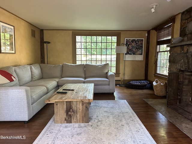 living room featuring dark hardwood / wood-style flooring