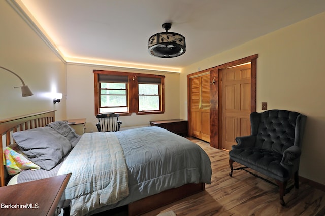 289 Algerie Rd, Becket, MA 01223 - bedroom with light wood-type flooring and a closet