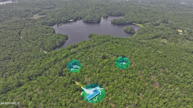 289 Algerie Rd, Becket, MA 01223 - bird's eye view of a heavily wooded area and a nearby body of water