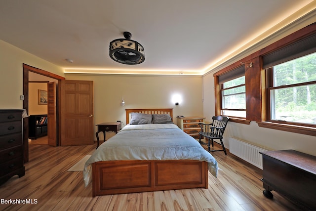 289 Algerie Rd, Becket, MA 01223 - bedroom featuring radiator and light wood finished floors