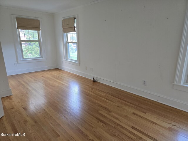 empty room featuring light hardwood / wood-style floors and plenty of natural light