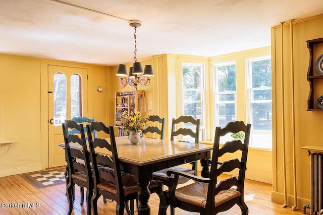 dining space featuring a healthy amount of sunlight, light wood-type flooring, radiator, and an inviting chandelier