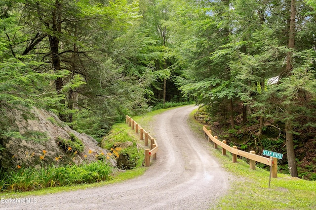 2017 Monterey Rd, Otis, MA 01253 - view of road with a view of trees