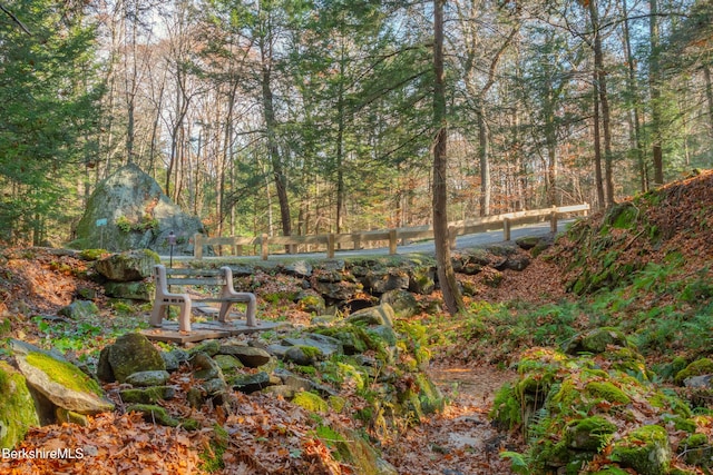 2017 Monterey Rd, Otis, MA 01253 - view of yard