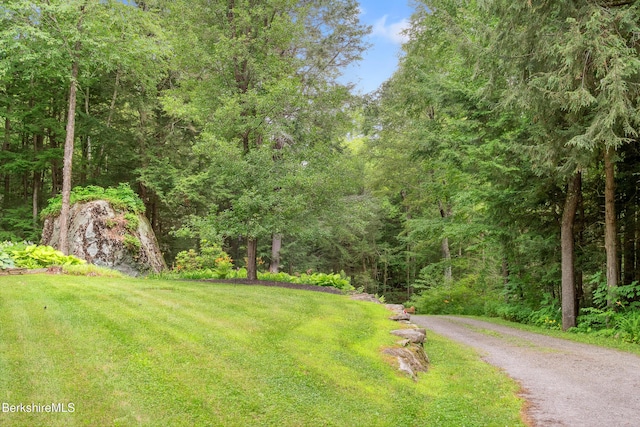 2017 Monterey Rd, Otis, MA 01253 - view of green lawn with a wooded view and driveway