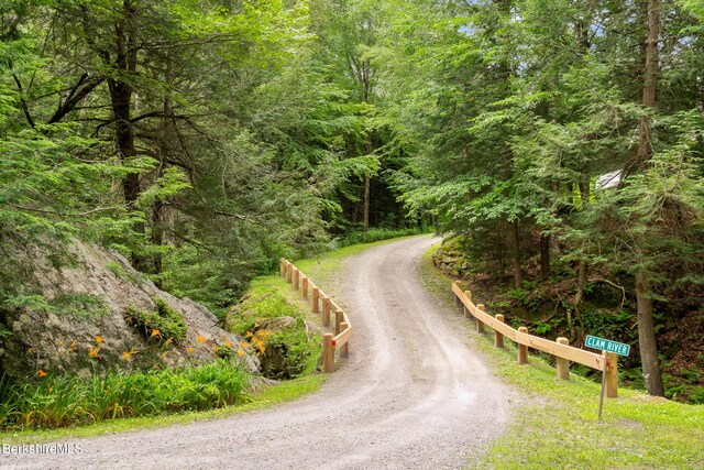 2017 Monterey Rd, Otis, MA 01253 - view of road with a view of trees