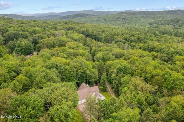 2017 Monterey Rd, Otis, MA 01253 - drone / aerial view of a heavily wooded area