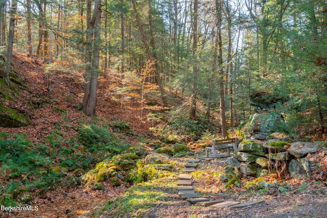 2017 Monterey Rd, Otis, MA 01253 - view of yard featuring a view of trees