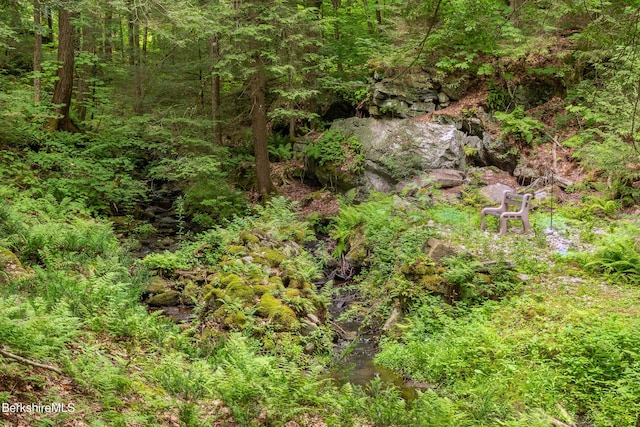 2017 Monterey Rd, Otis, MA 01253 - view of local wilderness