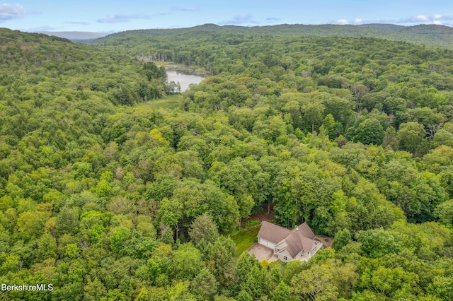 2017 Monterey Rd, Otis, MA 01253 - bird's eye view of a heavily wooded area and a water and mountain view