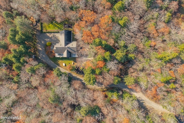 2017 Monterey Rd, Otis, MA 01253 - view of subject property