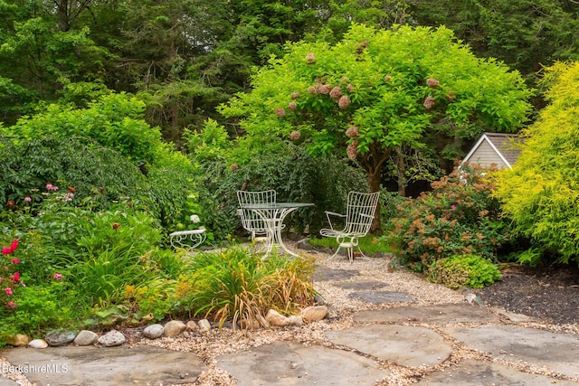 2017 Monterey Rd, Otis, MA 01253 - view of yard featuring a patio