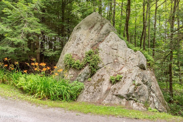 2017 Monterey Rd, Otis, MA 01253 - exterior view of a heavily wooded area