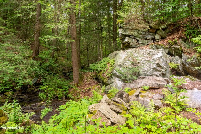 2017 Monterey Rd, Otis, MA 01253 - view of nature