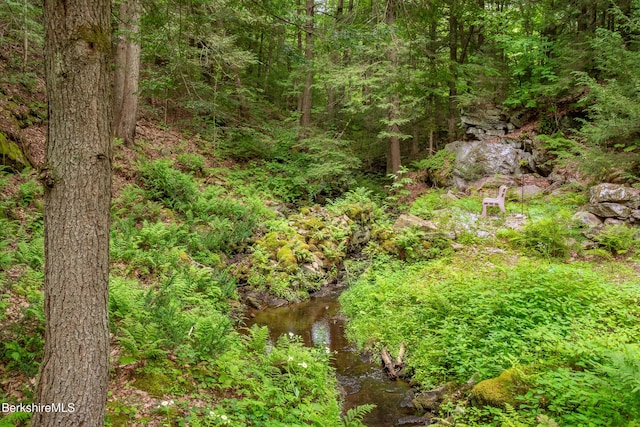 2017 Monterey Rd, Otis, MA 01253 - view of tree filled area
