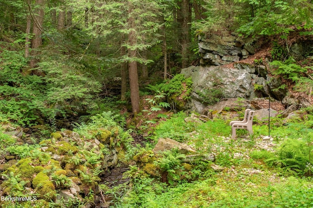 2017 Monterey Rd, Otis, MA 01253 - view of undeveloped land
