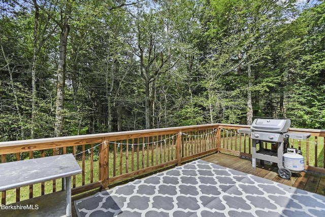 15 Kreutzer Rd, Peru, MA 01235 - photo 17