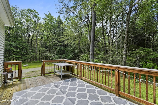 15 Kreutzer Rd, Peru, MA 01235 - photo 16