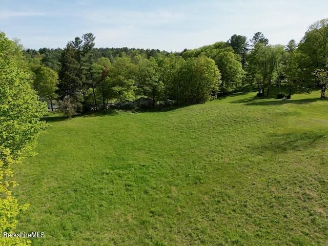 229 Egremont Plain Rd, Egremont, MA 01230 - photo 6