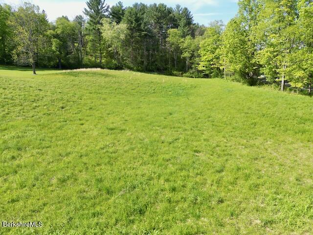 229 Egremont Plain Rd, Egremont, MA 01230 - photo 9