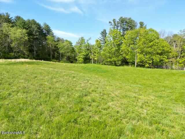 229 Egremont Plain Rd, Egremont, MA 01230 - photo 2