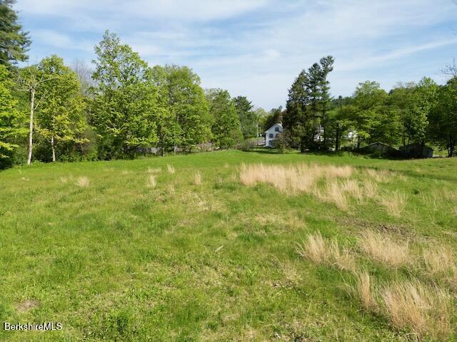 229 Egremont Plain Rd, Egremont, MA 01230 - photo 5