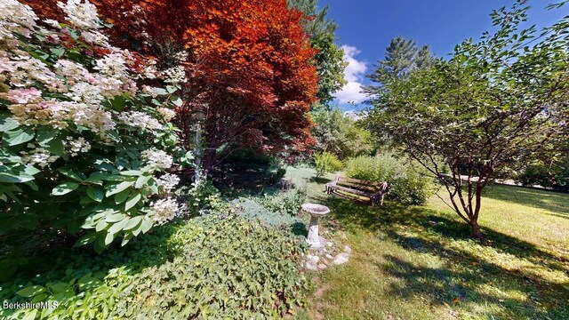 31 Mason St, Williamstown, MA 01267 - photo 30
