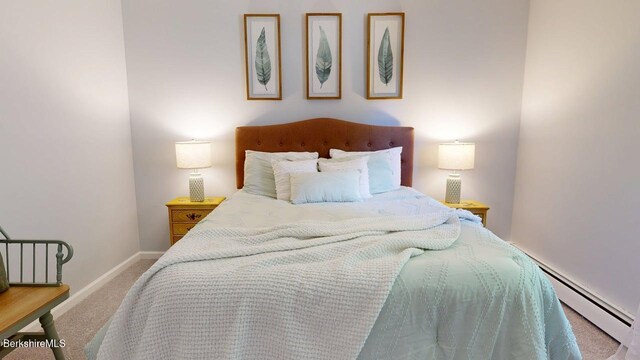 31 Mason St, Williamstown, MA 01267 - photo 21