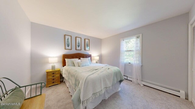 31 Mason St, Williamstown, MA 01267 - photo 22