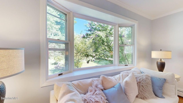 31 Mason St, Williamstown, MA 01267 - photo 8