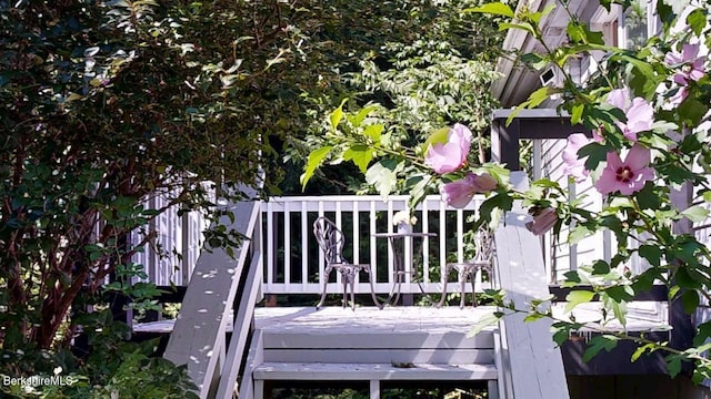 31 Mason St, Williamstown, MA 01267 - photo 16