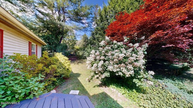 31 Mason St, Williamstown, MA 01267 - photo 31