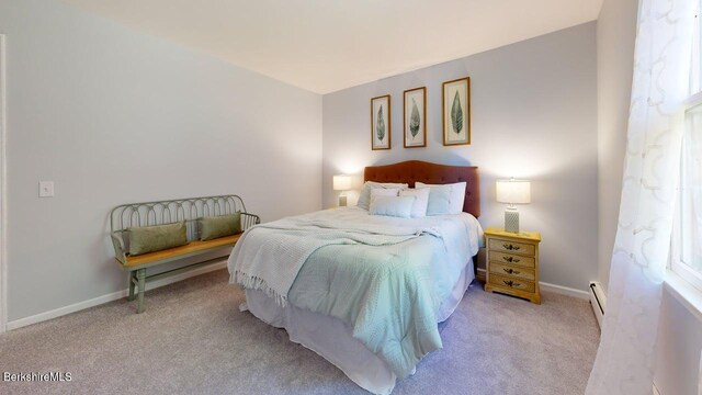 31 Mason St, Williamstown, MA 01267 - photo 23