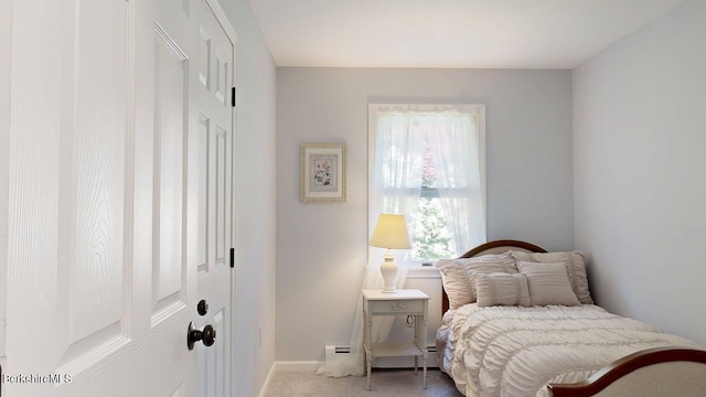 31 Mason St, Williamstown, MA 01267 - photo 18