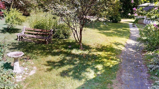 31 Mason St, Williamstown, MA 01267 - photo 34