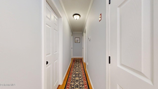 31 Mason St, Williamstown, MA 01267 - photo 17