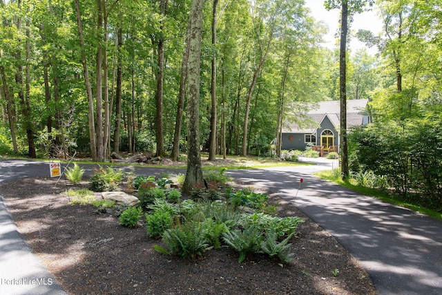 view of road featuring aphalt driveway and a view of trees