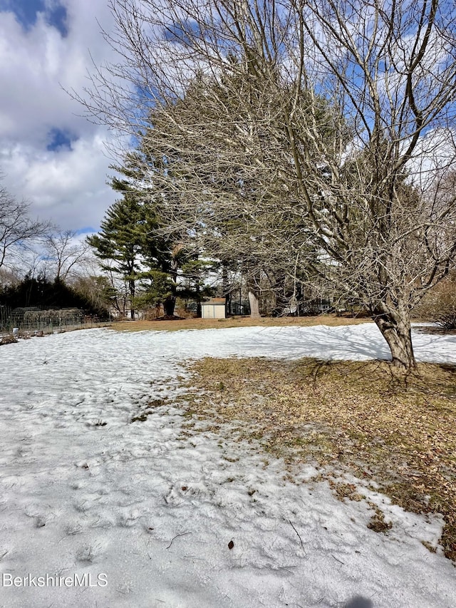 view of yard layered in snow