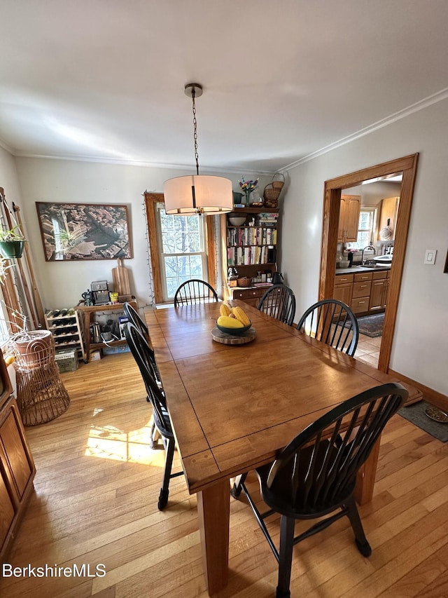 dining area with ornamental molding, a wealth of natural light, and light wood-style flooring