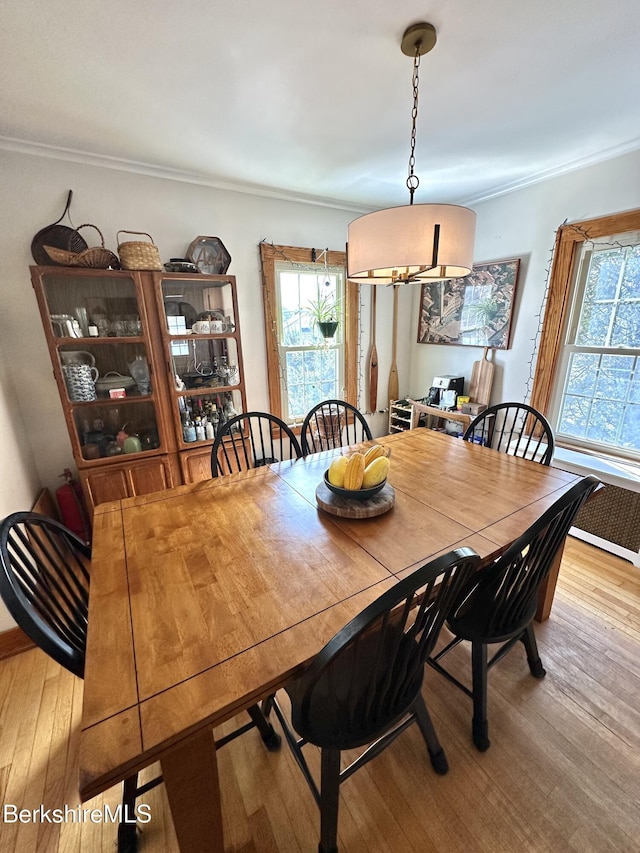 dining space with hardwood / wood-style floors, plenty of natural light, and crown molding