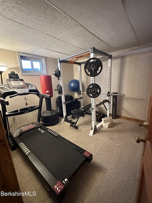 workout area with a paneled ceiling and carpet flooring