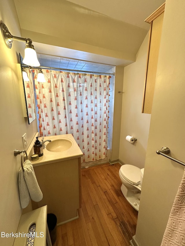 bathroom featuring vanity, toilet, and wood finished floors